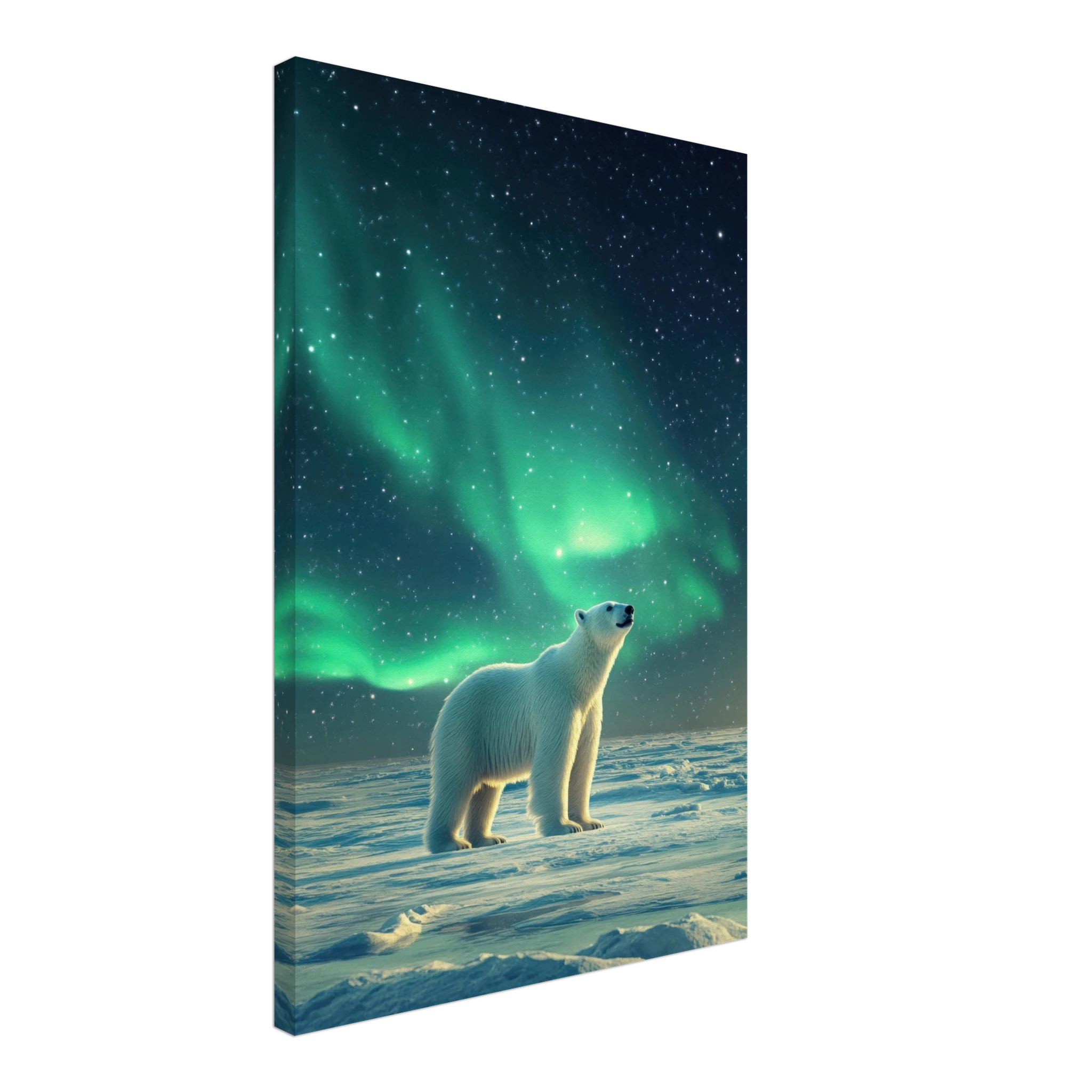 1fb00114-2d49-48ca-841e-a05722f843b7