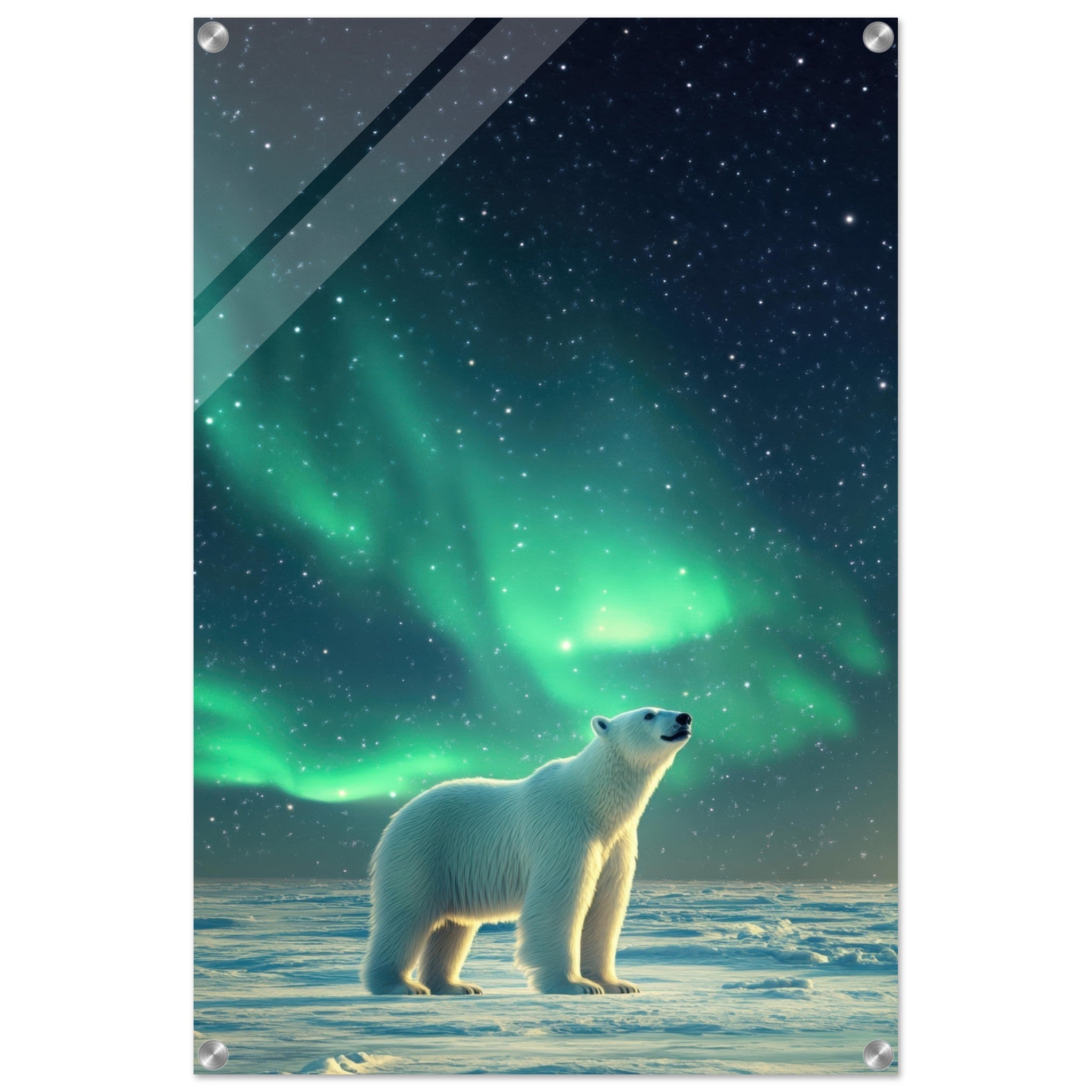 Acrylic Print Portrait - Polar Bear Under the Aurora Borealis A solitary 3 - Shop Ai Art WebShop - Digital Art online Store
