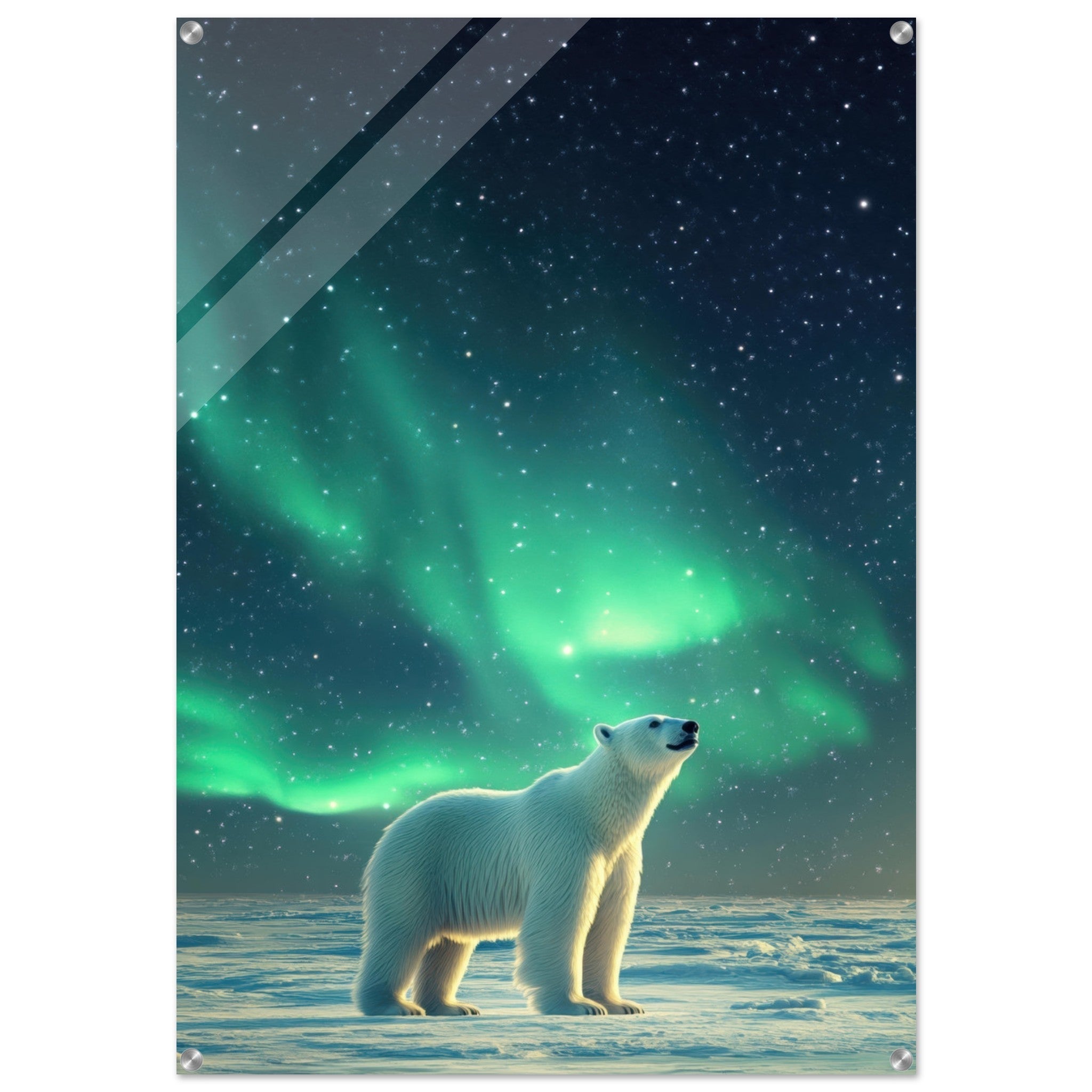 Acrylic Print Portrait - Polar Bear Under the Aurora Borealis A solitary 3 - Shop Ai Art WebShop - Digital Art online Store