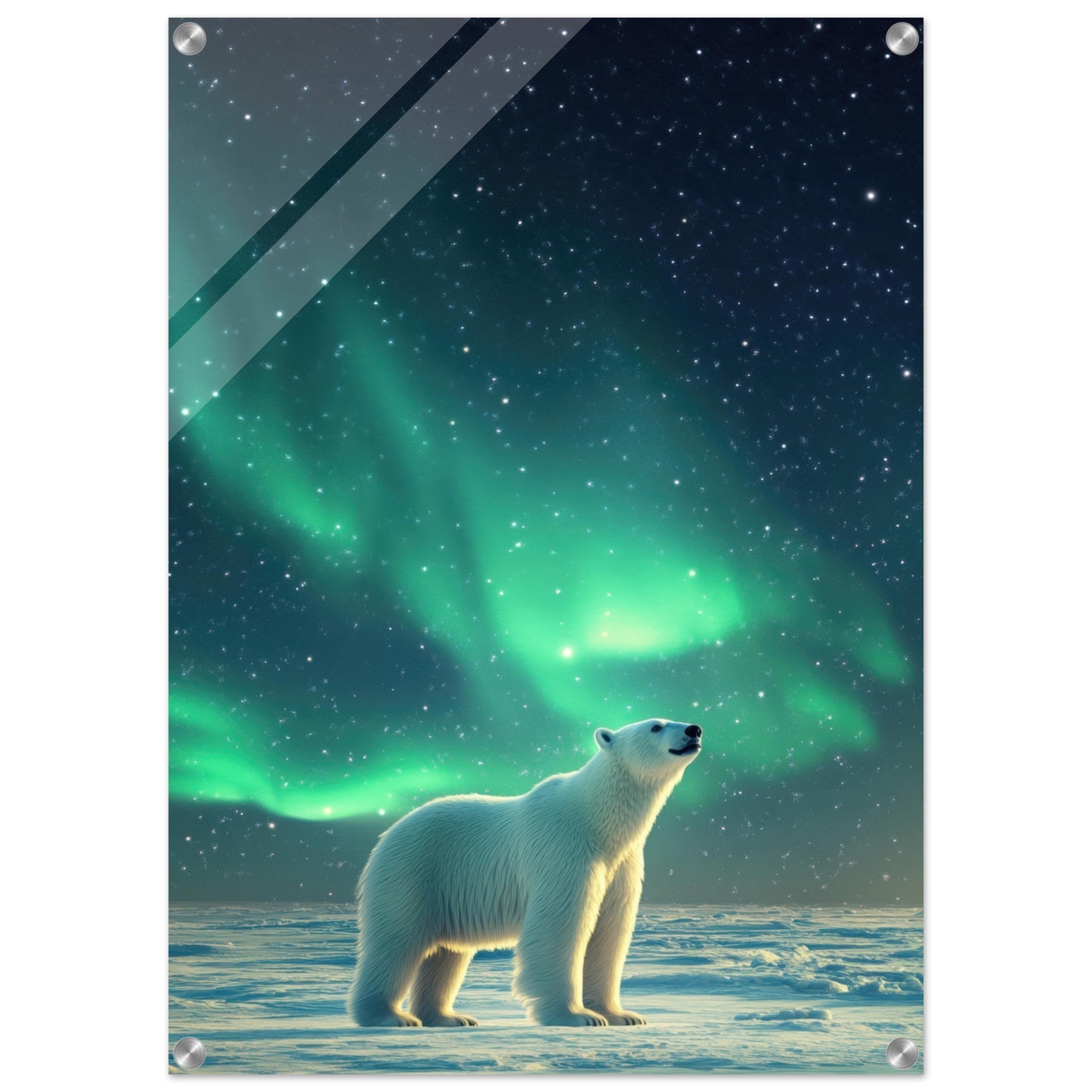 Acrylic Print Portrait - Polar Bear Under the Aurora Borealis A solitary 3 - Shop Ai Art WebShop - Digital Art online Store