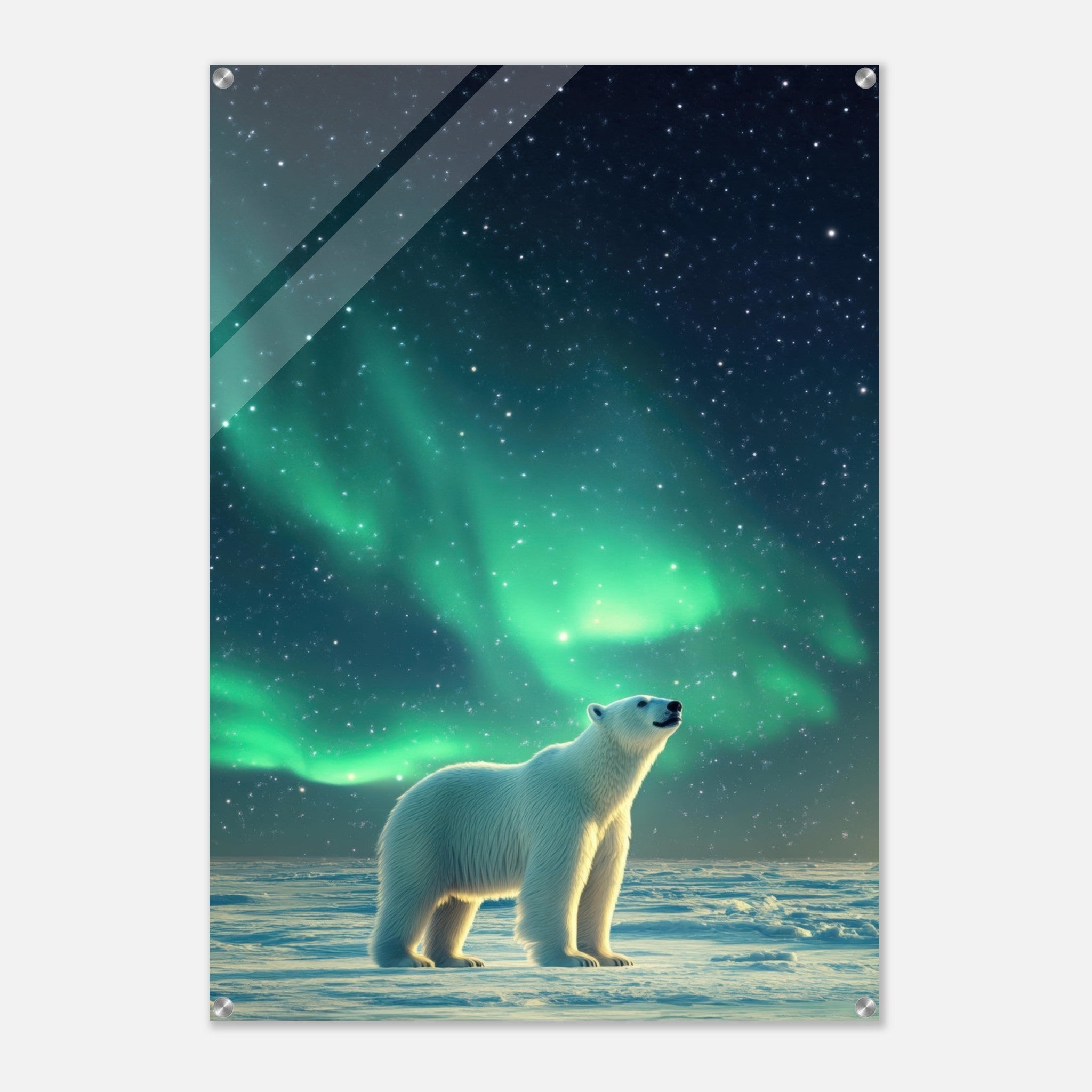 Acrylic Print Portrait - Polar Bear Under the Aurora Borealis A solitary 3 - Shop Ai Art WebShop - Digital Art online Store