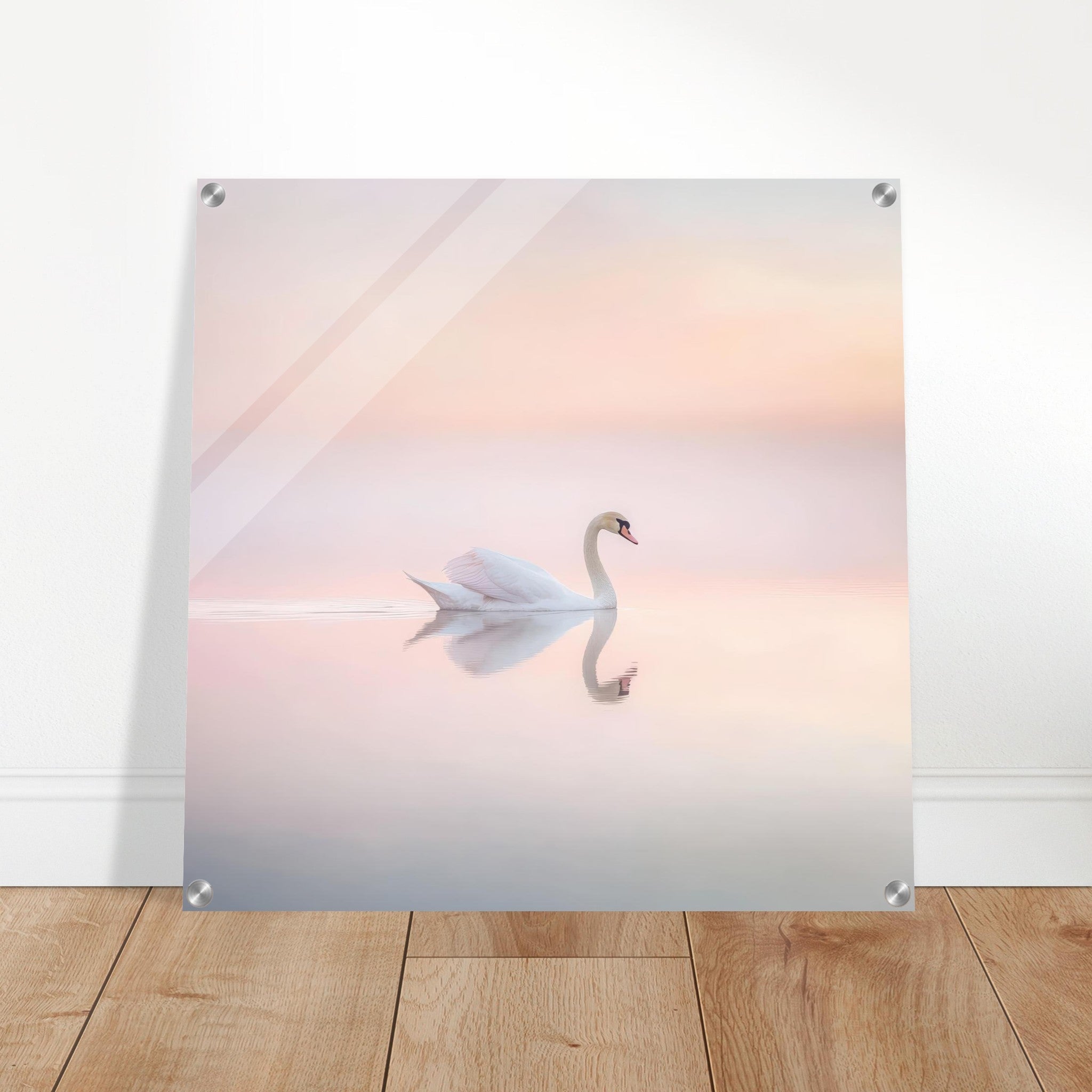Acrylic Print Square - Graceful Swan on a Serene Lake 3 - Shop Ai Art WebShop - Digital Art online Store