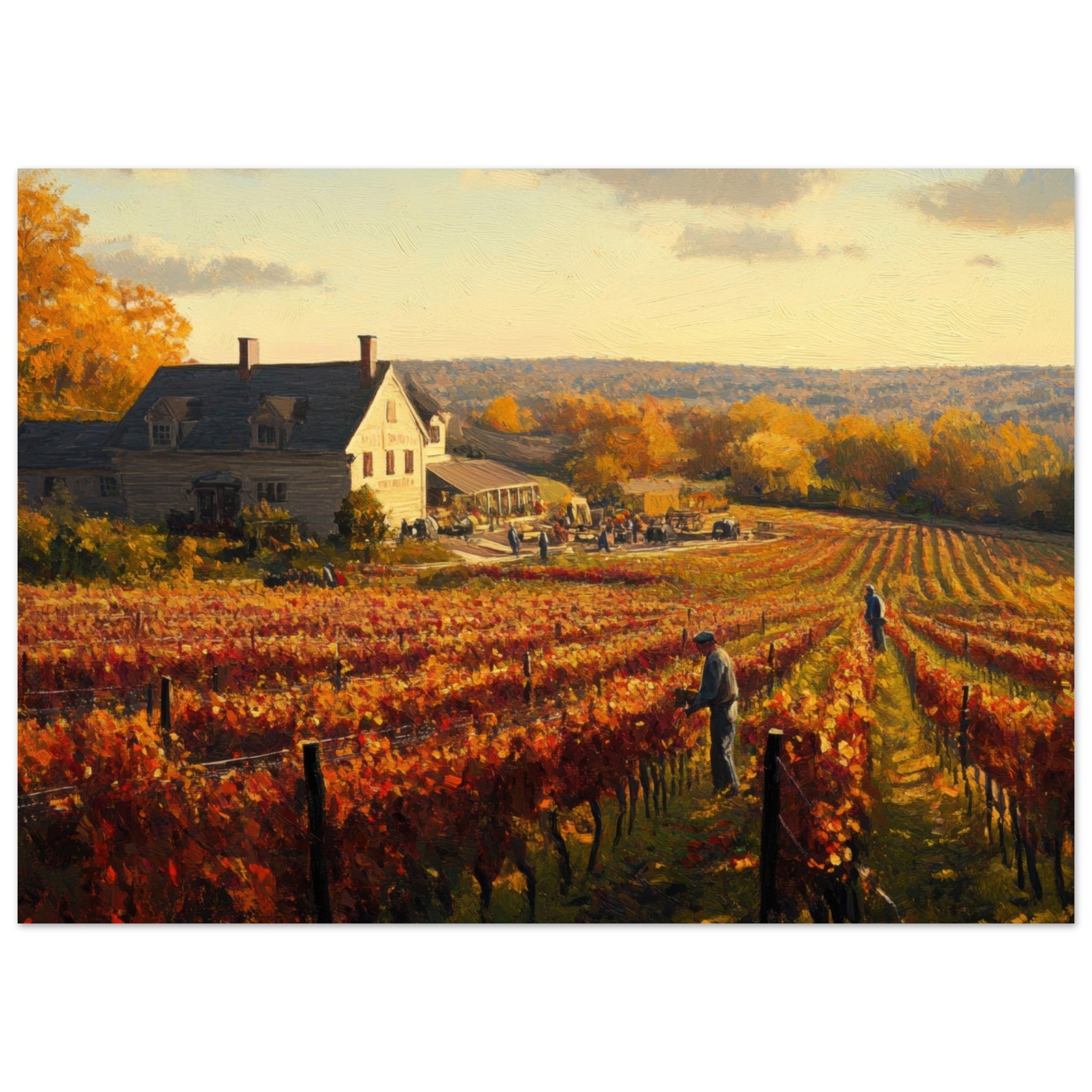 Aluminum Print Landscape - Autumn Vineyard Harvest A picturesque vineyards 3 - Shop Ai Art WebShop - Digital Art online Store