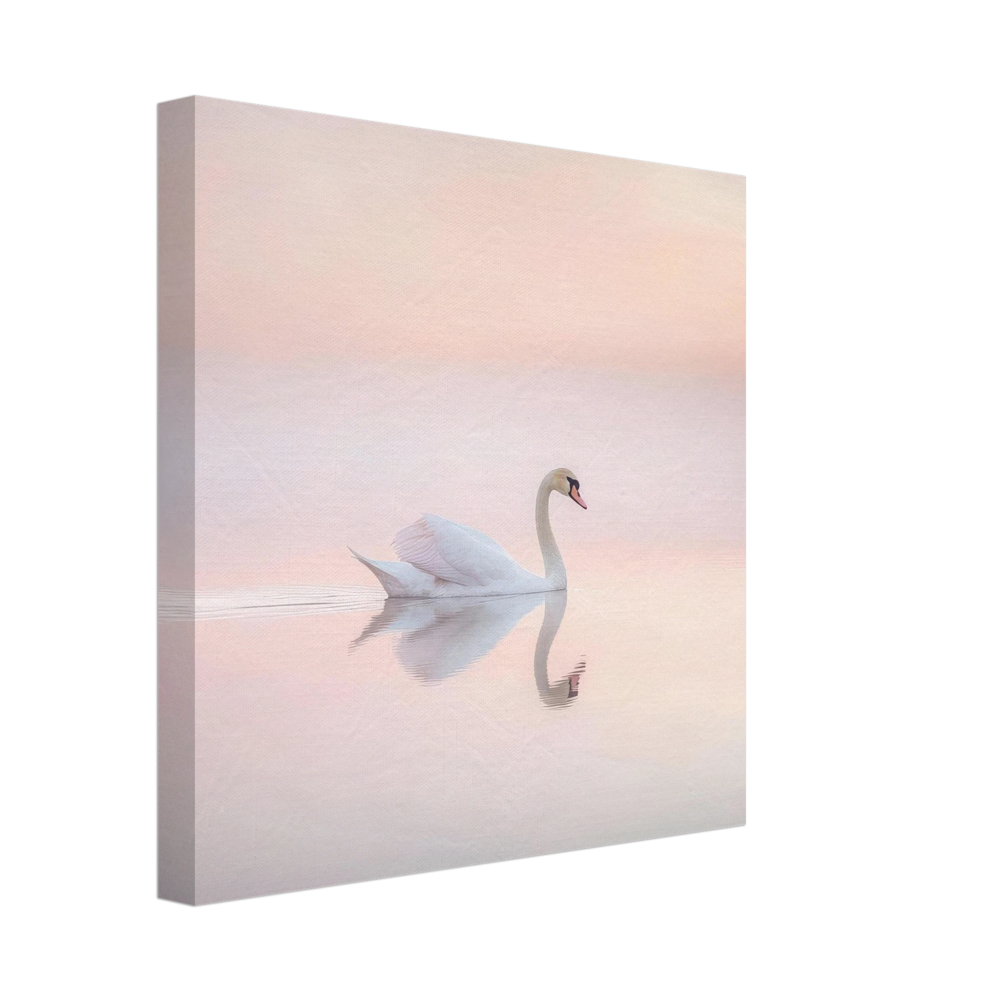 c3e0d60e-7cd4-4005-9481-46339d5f3d05