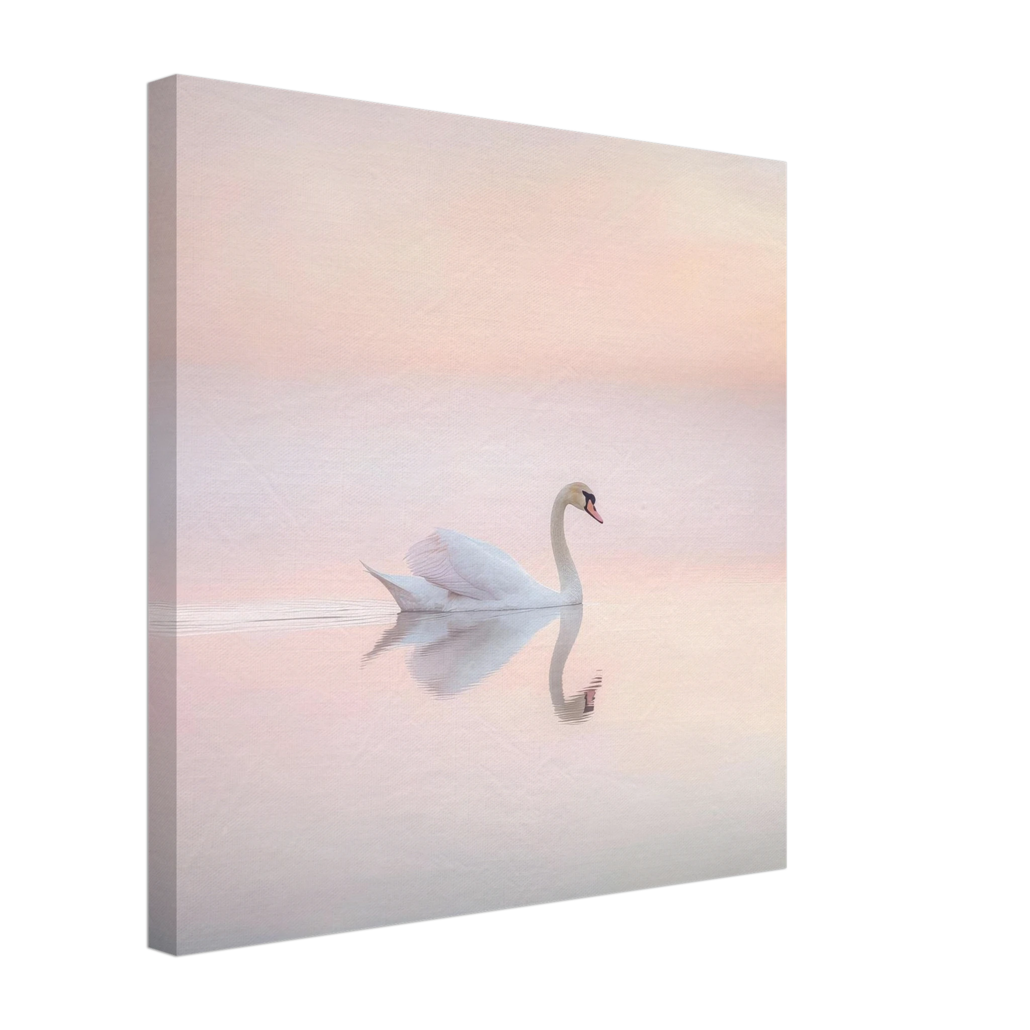 ee717720-abfa-46da-b7f7-4fa65ddddf56