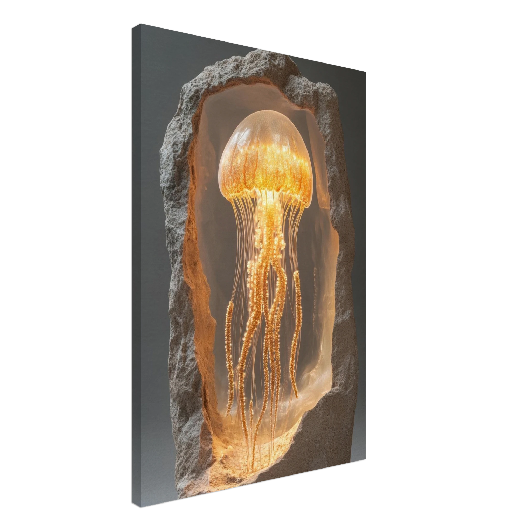 fef0d2bb-99b1-4b92-84c7-a2f53d9d6458