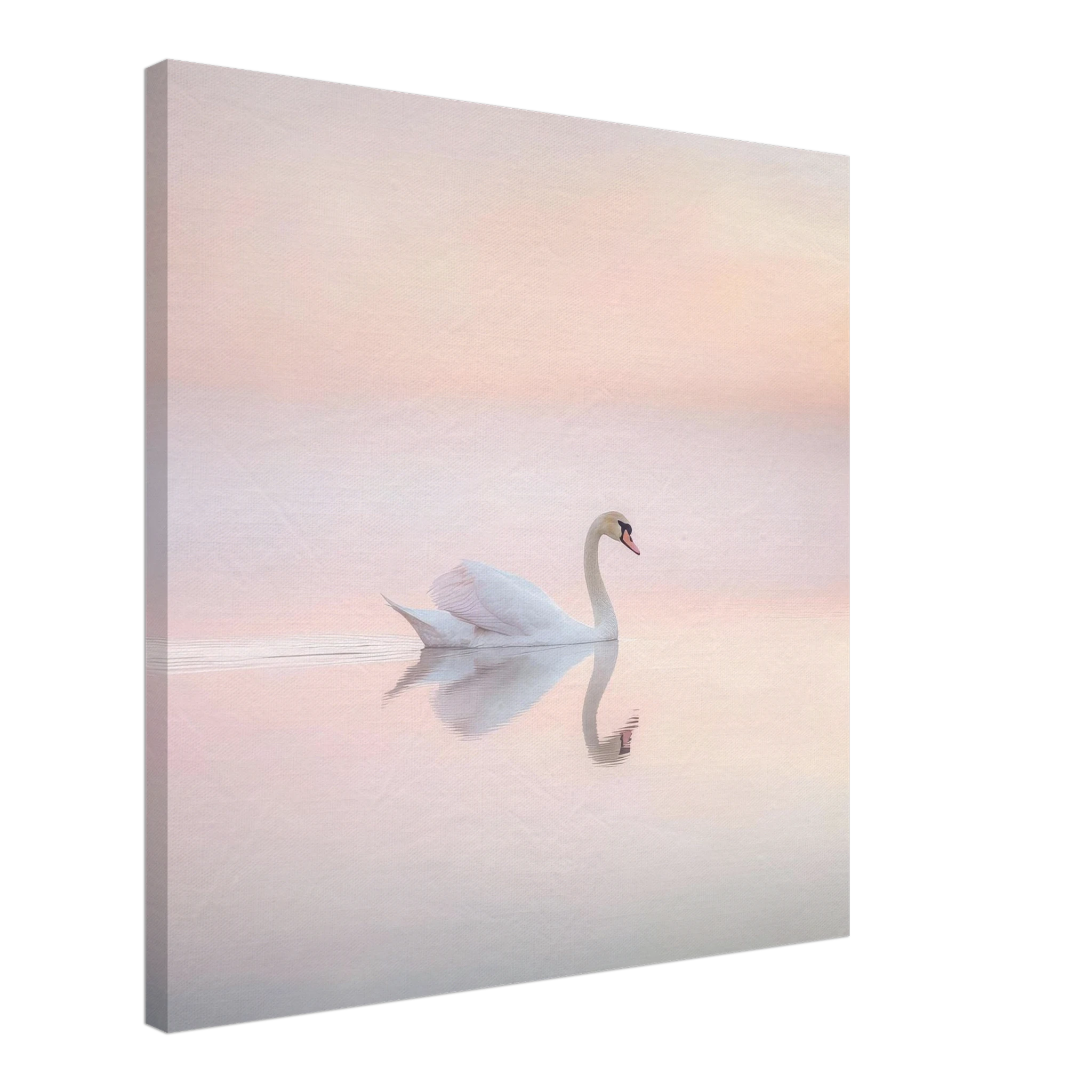 8d4b62cf-9cf2-43f9-b3a2-ce5e858f7472