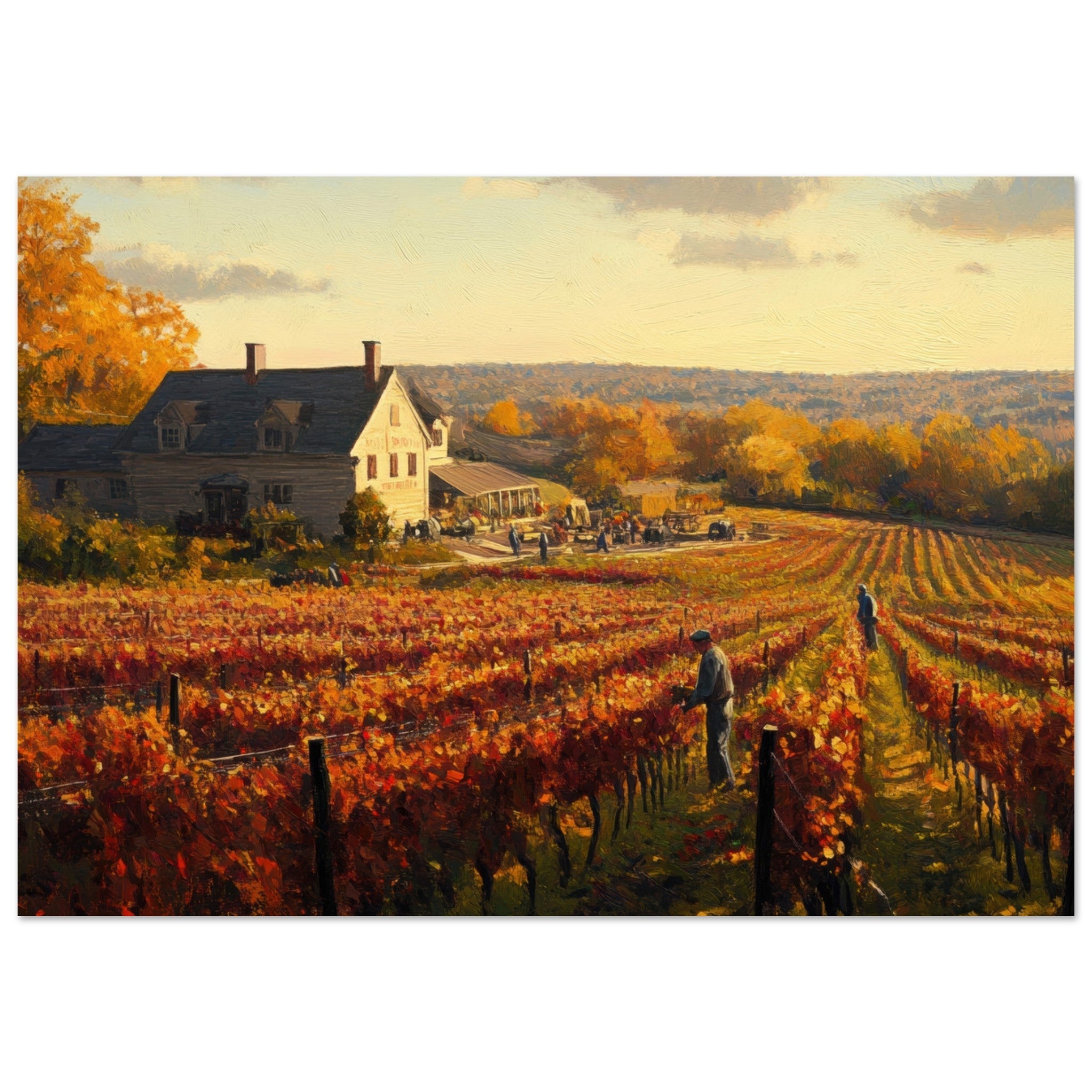 Aluminum Print Landscape - Autumn Vineyard Harvest A picturesque vineyards 3 - Shop Ai Art WebShop - Digital Art online Store