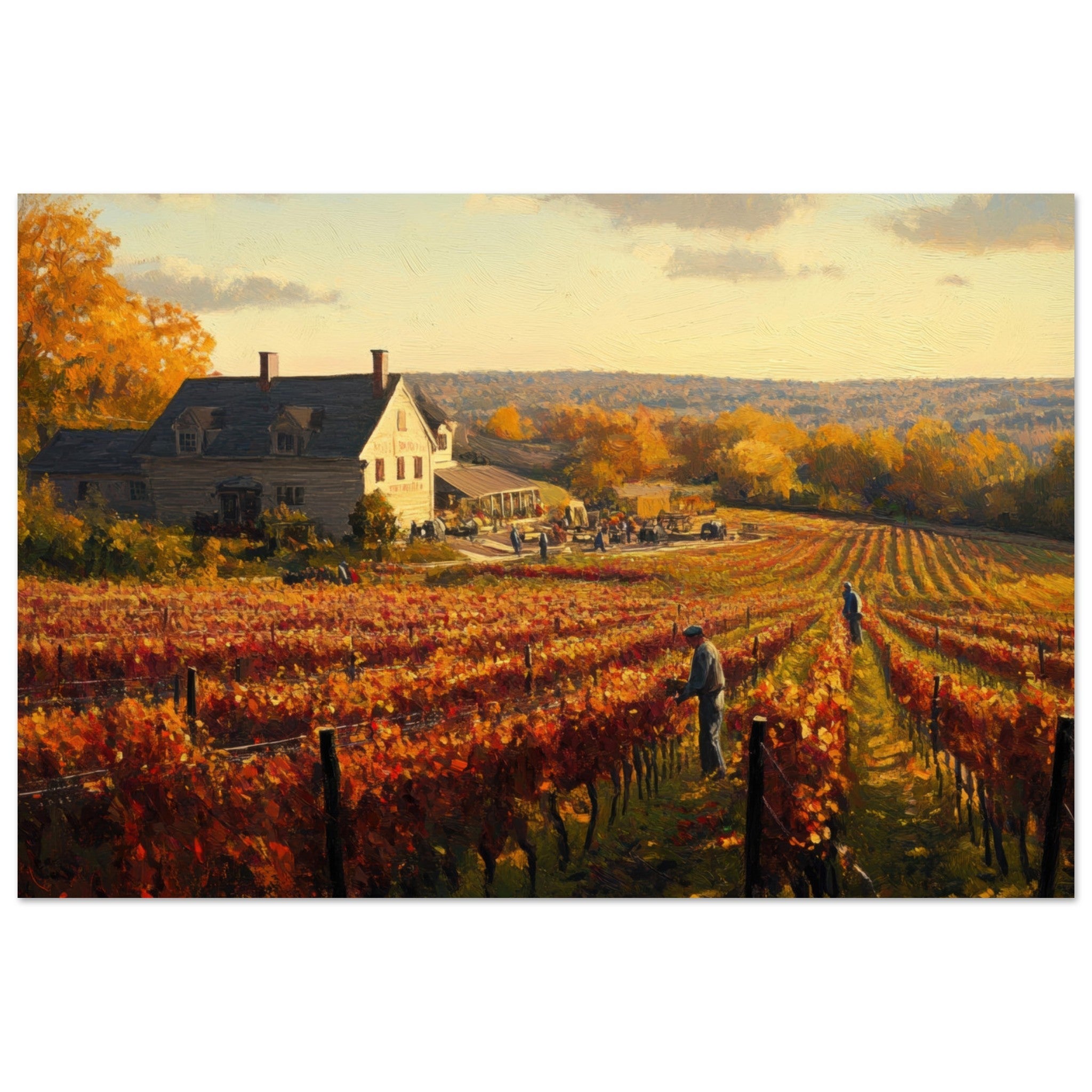 Aluminum Print Landscape - Autumn Vineyard Harvest A picturesque vineyards 3 - Shop Ai Art WebShop - Digital Art online Store