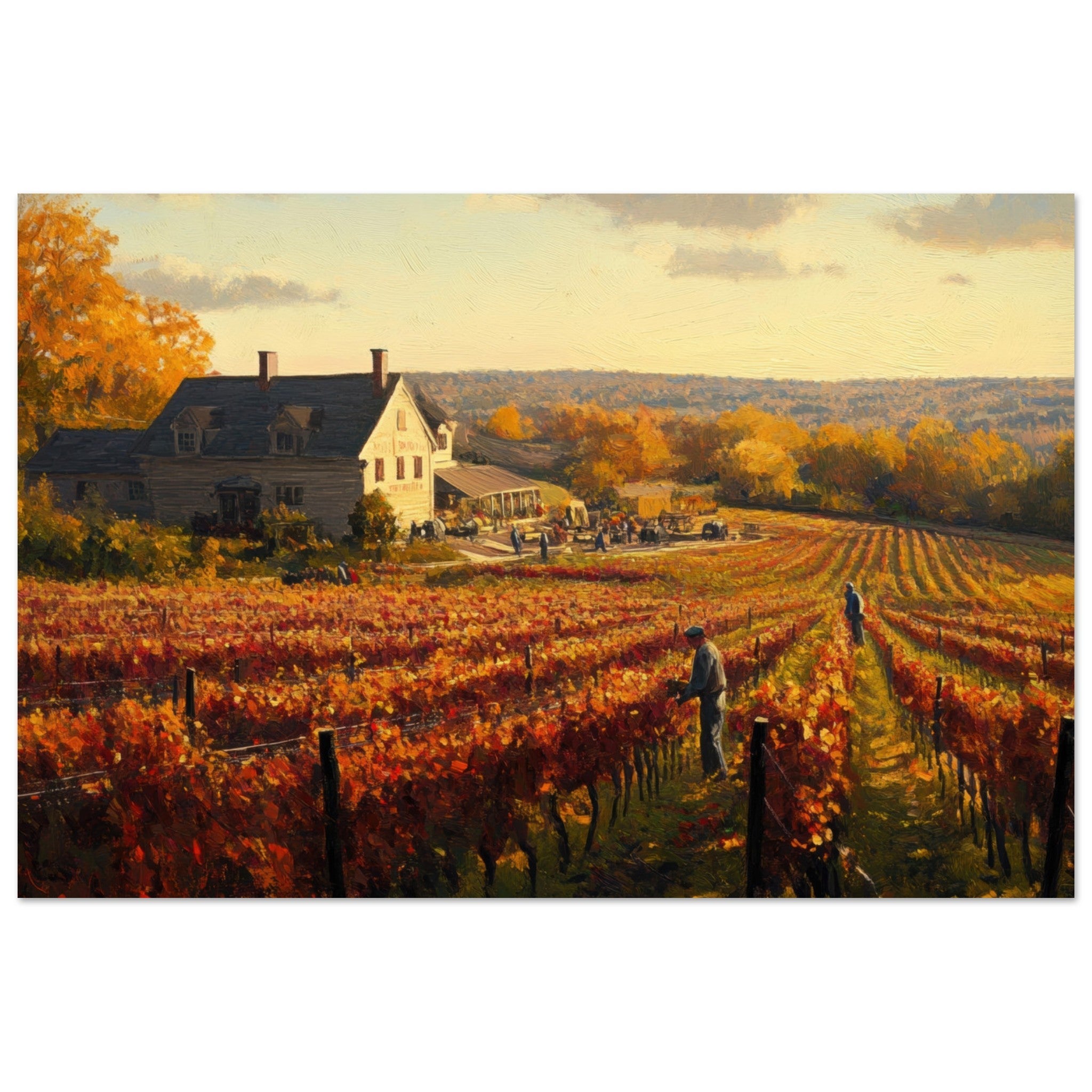 Aluminum Print Landscape - Autumn Vineyard Harvest A picturesque vineyards 3 - Shop Ai Art WebShop - Digital Art online Store